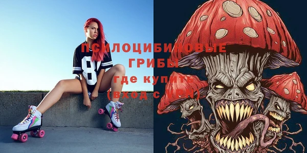 экстази Няндома