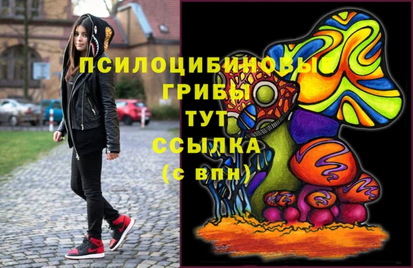 экстази Няндома